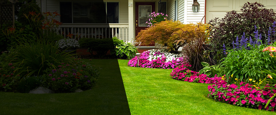 Young America Landscapers