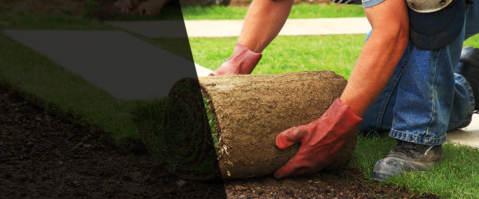 Young America Landscapers